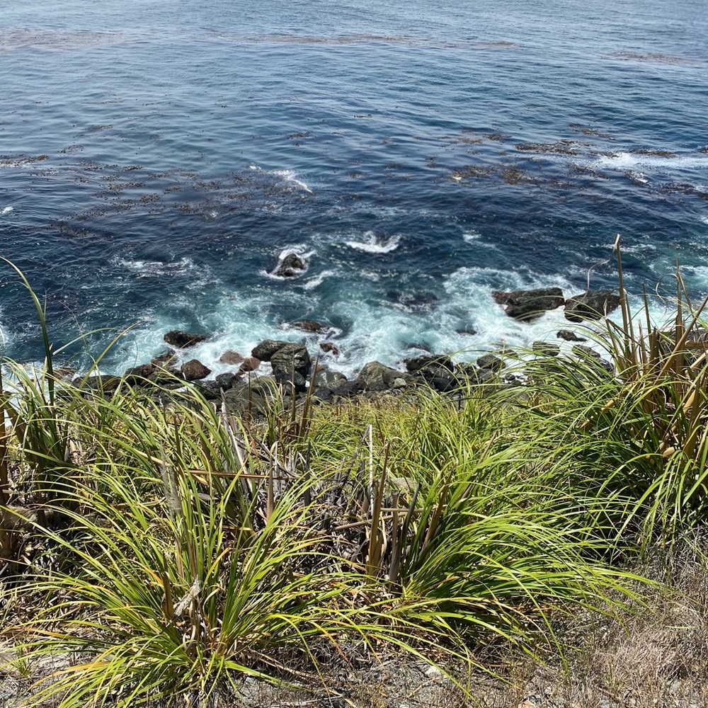 Meet your Posher, Angie